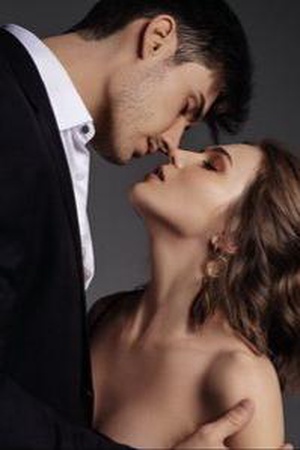Genius Wife Is Naughty Again novel