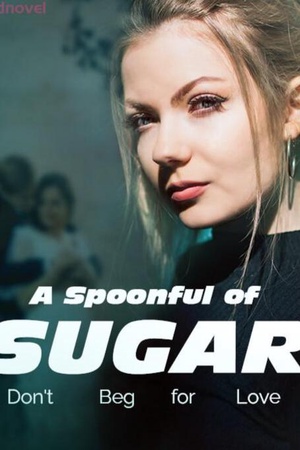 A Spoonful of Sugar: Don’t Beg for Love Best gifts for your loved ones novel